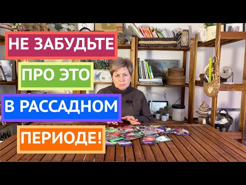 Еще раз о грунтах!