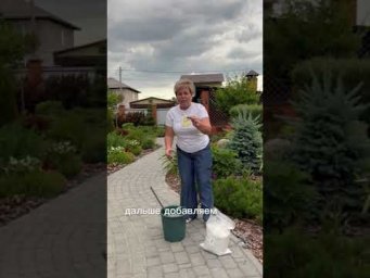 БЮДЖЕТНАЯ ПОМОЩЬ РАСТЕНИЯМ