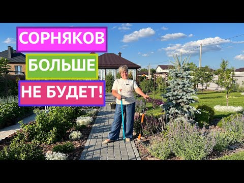 НОВОЕ СЛОВО В БОРЬБЕ С СОРНЯКАМИ!