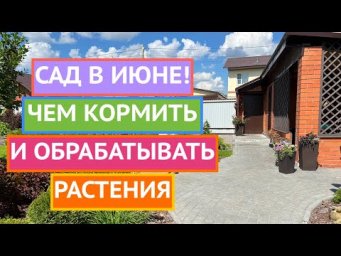 БОЛЬШАЯ ШПАРГАЛКА ДЛЯ САДОВОДА В ИЮНЕ!
