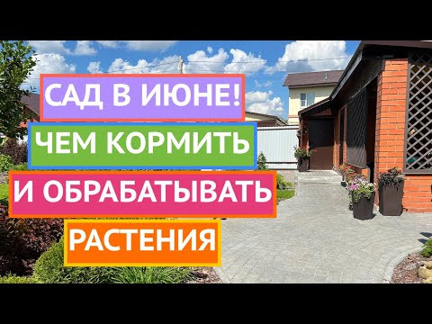 БОЛЬШАЯ ШПАРГАЛКА ДЛЯ САДОВОДА В ИЮНЕ!