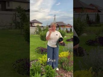 Срочно помогите растениям!